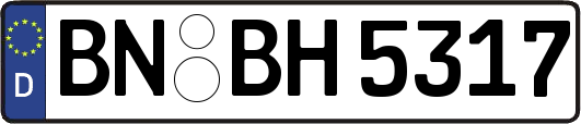 BN-BH5317