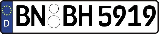 BN-BH5919