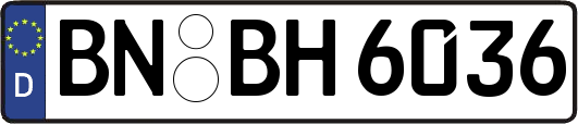 BN-BH6036