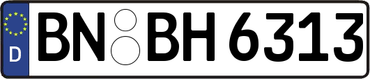 BN-BH6313