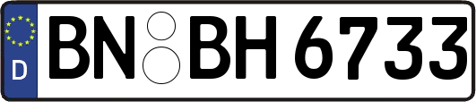 BN-BH6733