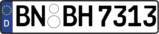 BN-BH7313