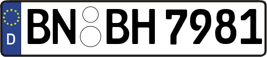 BN-BH7981