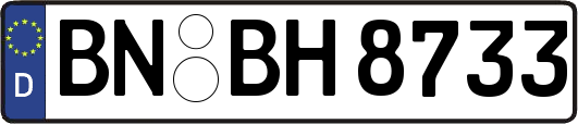 BN-BH8733