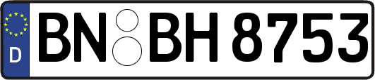BN-BH8753