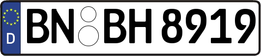 BN-BH8919