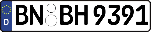 BN-BH9391