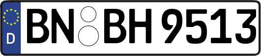 BN-BH9513