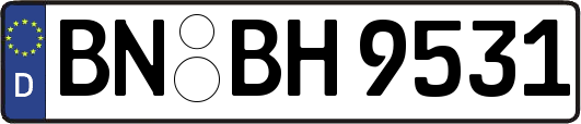 BN-BH9531
