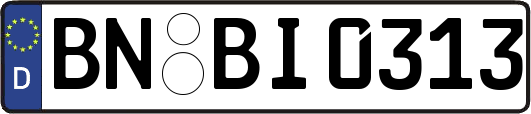 BN-BI0313