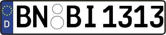 BN-BI1313