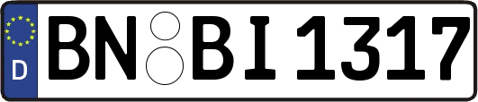 BN-BI1317