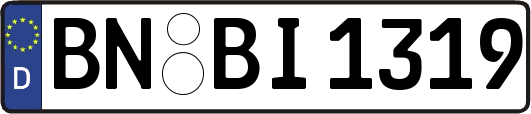 BN-BI1319