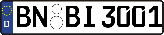 BN-BI3001
