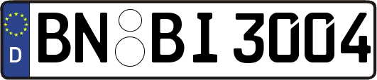 BN-BI3004