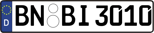BN-BI3010
