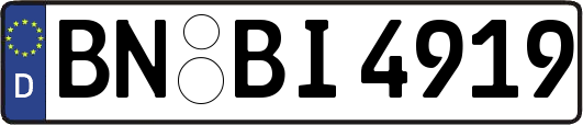 BN-BI4919