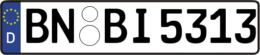 BN-BI5313