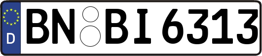 BN-BI6313