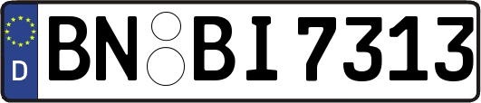 BN-BI7313