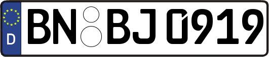 BN-BJ0919