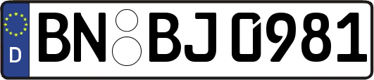 BN-BJ0981