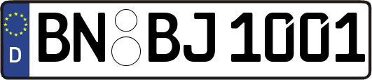 BN-BJ1001