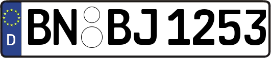 BN-BJ1253