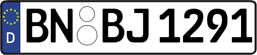 BN-BJ1291