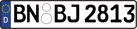 BN-BJ2813