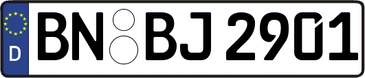 BN-BJ2901