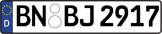 BN-BJ2917