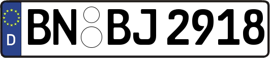 BN-BJ2918