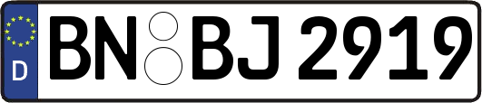 BN-BJ2919