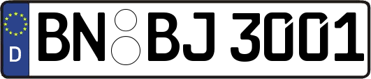 BN-BJ3001