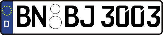 BN-BJ3003
