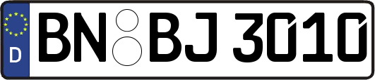 BN-BJ3010