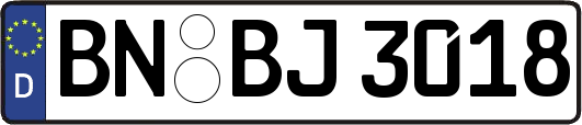 BN-BJ3018