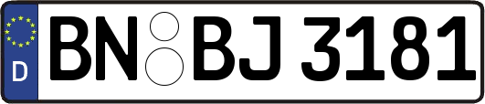 BN-BJ3181
