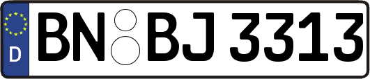BN-BJ3313