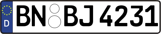 BN-BJ4231