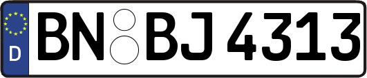 BN-BJ4313