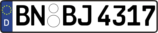 BN-BJ4317