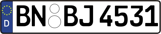 BN-BJ4531