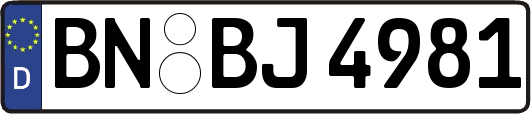 BN-BJ4981