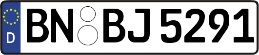 BN-BJ5291