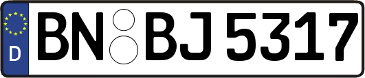 BN-BJ5317
