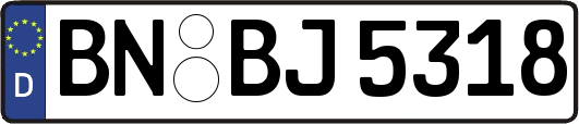 BN-BJ5318