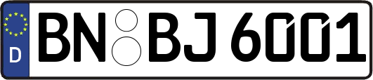 BN-BJ6001
