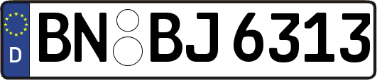 BN-BJ6313
